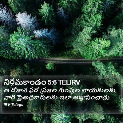 నిర్గమకాండం 5:6 TELIRV Bible Verse Image