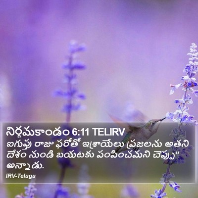 నిర్గమకాండం 6:11 TELIRV Bible Verse Image