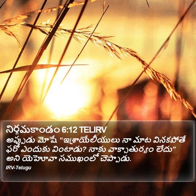 నిర్గమకాండం 6:12 TELIRV Bible Verse Image