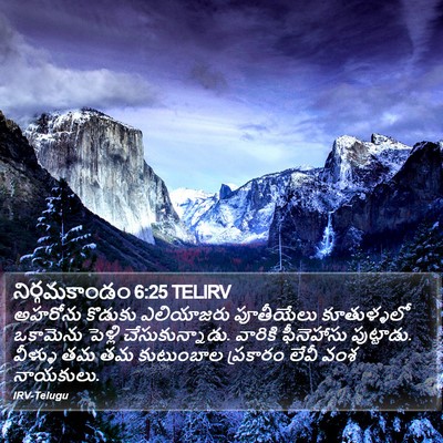 నిర్గమకాండం 6:25 TELIRV Bible Verse Image