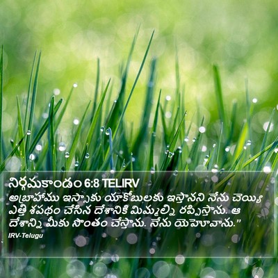 నిర్గమకాండం 6:8 TELIRV Bible Verse Image