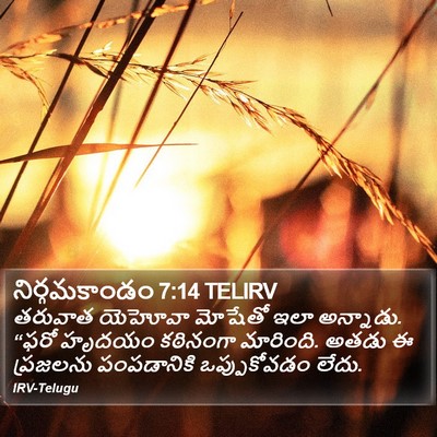 నిర్గమకాండం 7:14 TELIRV Bible Verse Image