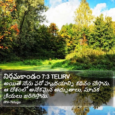 నిర్గమకాండం 7:3 TELIRV Bible Verse Image