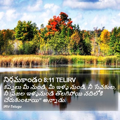 నిర్గమకాండం 8:11 TELIRV Bible Verse Image