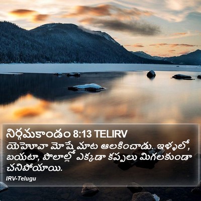 నిర్గమకాండం 8:13 TELIRV Bible Verse Image