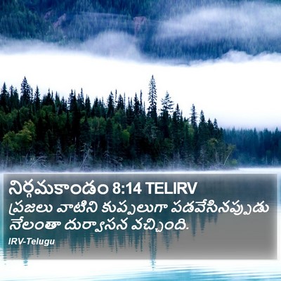 నిర్గమకాండం 8:14 TELIRV Bible Verse Image