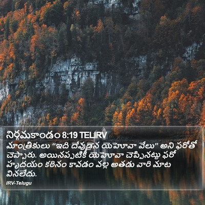 నిర్గమకాండం 8:19 TELIRV Bible Verse Image
