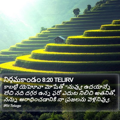 నిర్గమకాండం 8:20 TELIRV Bible Verse Image