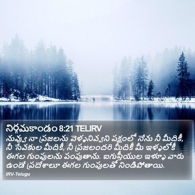నిర్గమకాండం 8:21 TELIRV Bible Verse Image