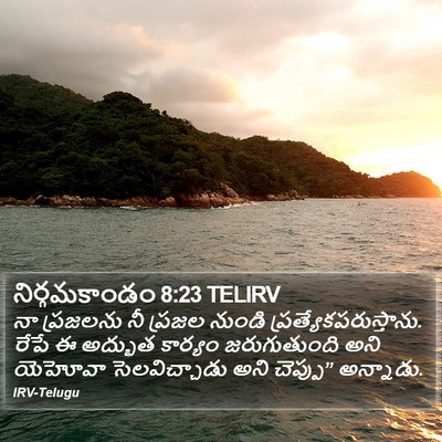 నిర్గమకాండం 8:23 TELIRV Bible Verse Image