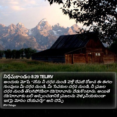 నిర్గమకాండం 8:29 TELIRV Bible Verse Image