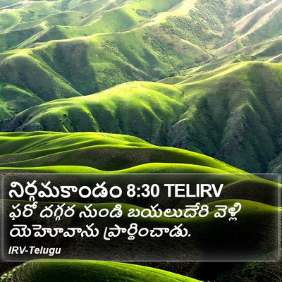 నిర్గమకాండం 8:30 TELIRV Bible Verse Image