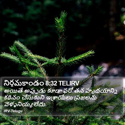 నిర్గమకాండం 8:32 TELIRV Bible Verse Image