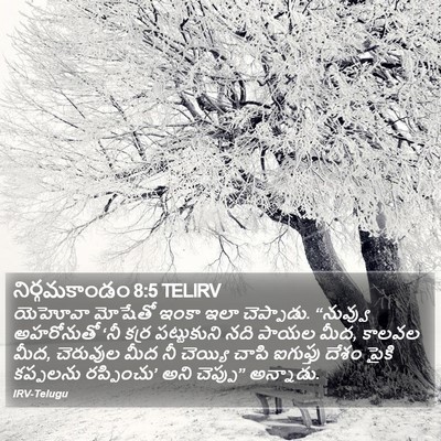 నిర్గమకాండం 8:5 TELIRV Bible Verse Image