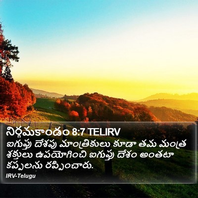 నిర్గమకాండం 8:7 TELIRV Bible Verse Image