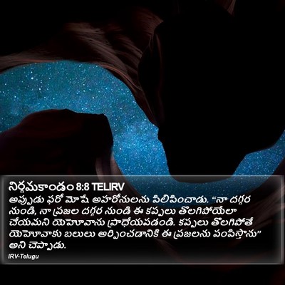 నిర్గమకాండం 8:8 TELIRV Bible Verse Image