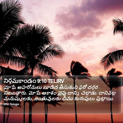 నిర్గమకాండం 9:10 TELIRV Bible Verse Image