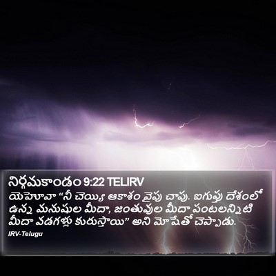 నిర్గమకాండం 9:22 TELIRV Bible Verse Image