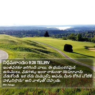 నిర్గమకాండం 9:28 TELIRV Bible Verse Image