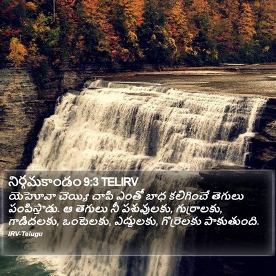 నిర్గమకాండం 9:3 TELIRV Bible Verse Image