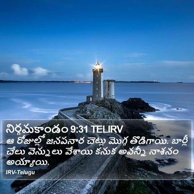 నిర్గమకాండం 9:31 TELIRV Bible Verse Image