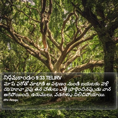 నిర్గమకాండం 9:33 TELIRV Bible Verse Image
