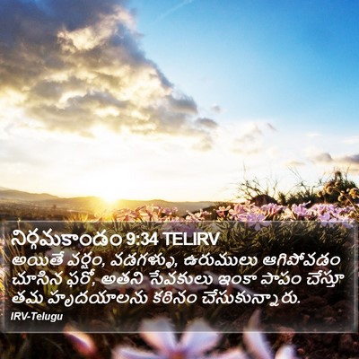 నిర్గమకాండం 9:34 TELIRV Bible Verse Image