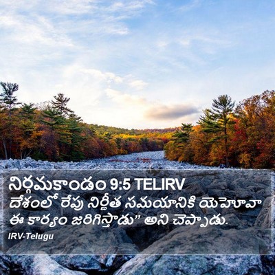 నిర్గమకాండం 9:5 TELIRV Bible Verse Image