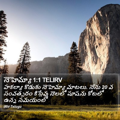నెహెమ్యా 1:1 TELIRV Bible Verse Image
