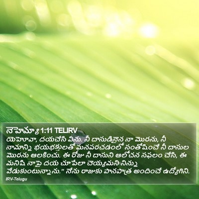 నెహెమ్యా 1:11 TELIRV Bible Verse Image