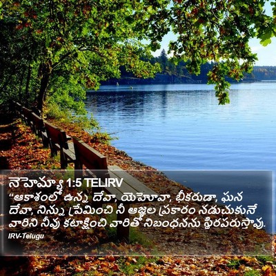 నెహెమ్యా 1:5 TELIRV Bible Verse Image