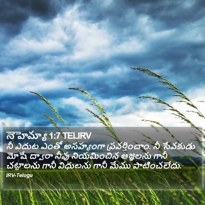 నెహెమ్యా 1:7 TELIRV Bible Verse Image