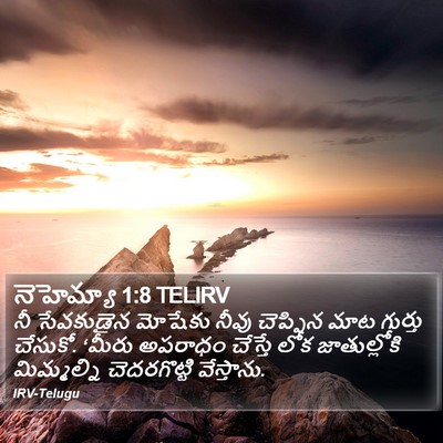 నెహెమ్యా 1:8 TELIRV Bible Verse Image