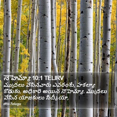 నెహెమ్యా 10:1 TELIRV Bible Verse Image