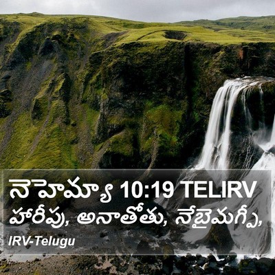 నెహెమ్యా 10:19 TELIRV Bible Verse Image