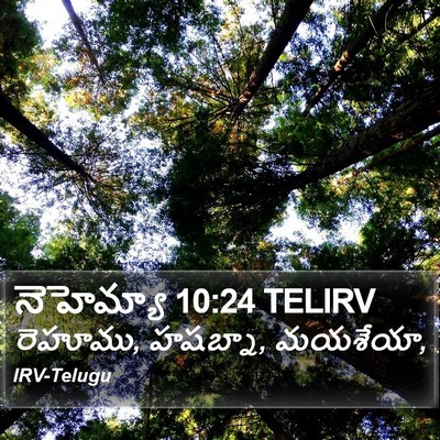 నెహెమ్యా 10:24 TELIRV Bible Verse Image