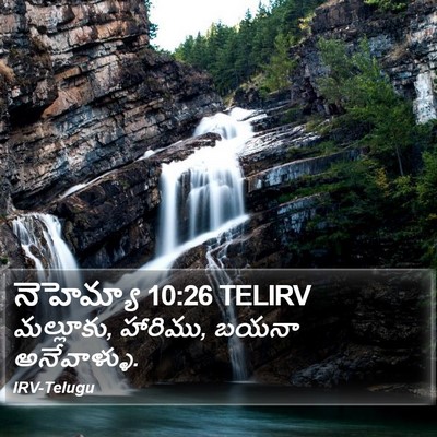 నెహెమ్యా 10:26 TELIRV Bible Verse Image