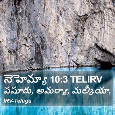 నెహెమ్యా 10:3 TELIRV Bible Verse Image