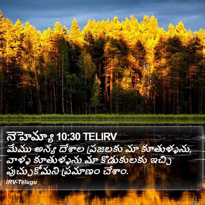 నెహెమ్యా 10:30 TELIRV Bible Verse Image