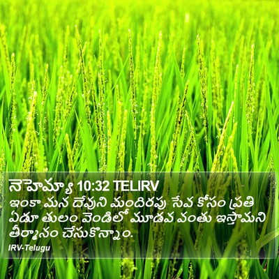 నెహెమ్యా 10:32 TELIRV Bible Verse Image