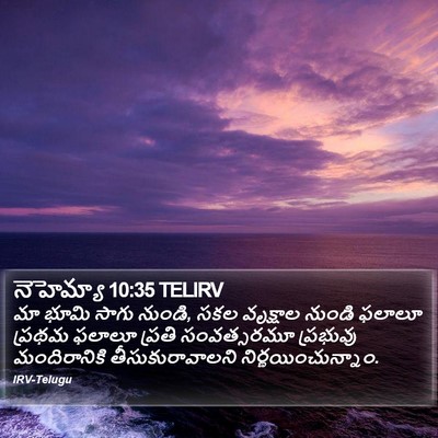 నెహెమ్యా 10:35 TELIRV Bible Verse Image