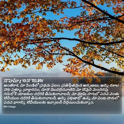 నెహెమ్యా 10:37 TELIRV Bible Verse Image