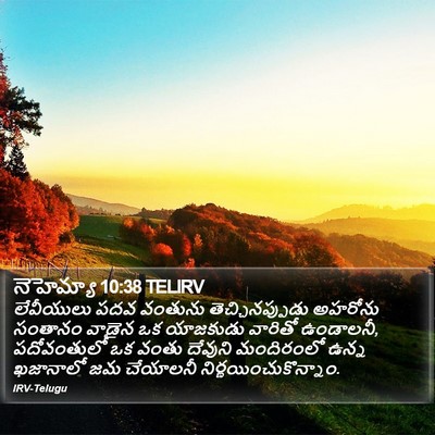 నెహెమ్యా 10:38 TELIRV Bible Verse Image