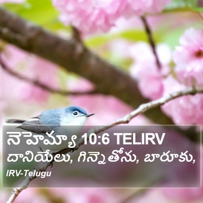 నెహెమ్యా 10:6 TELIRV Bible Verse Image