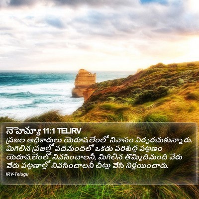 నెహెమ్యా 11:1 TELIRV Bible Verse Image