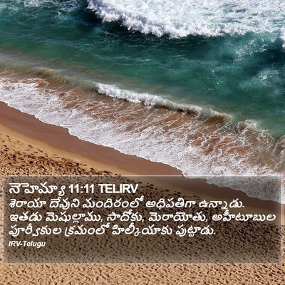 నెహెమ్యా 11:11 TELIRV Bible Verse Image