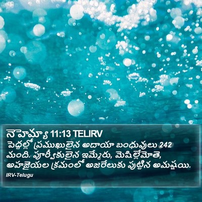 నెహెమ్యా 11:13 TELIRV Bible Verse Image