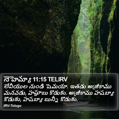 నెహెమ్యా 11:15 TELIRV Bible Verse Image