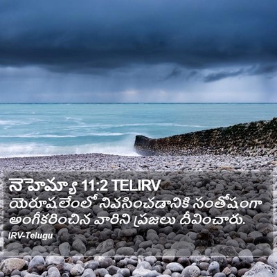 నెహెమ్యా 11:2 TELIRV Bible Verse Image
