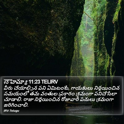 నెహెమ్యా 11:23 TELIRV Bible Verse Image